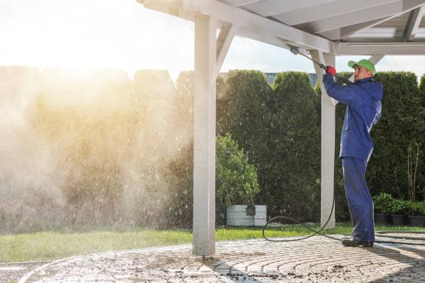 Best Soft Washing for Delicate Surfaces in Royersford, PA